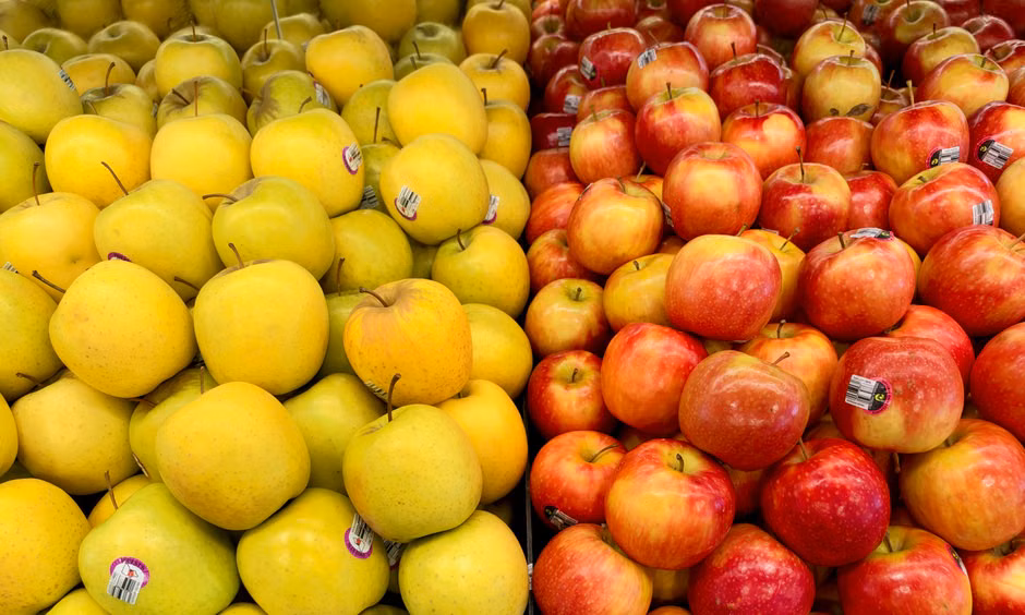 Hortifruti da Estação (kg)